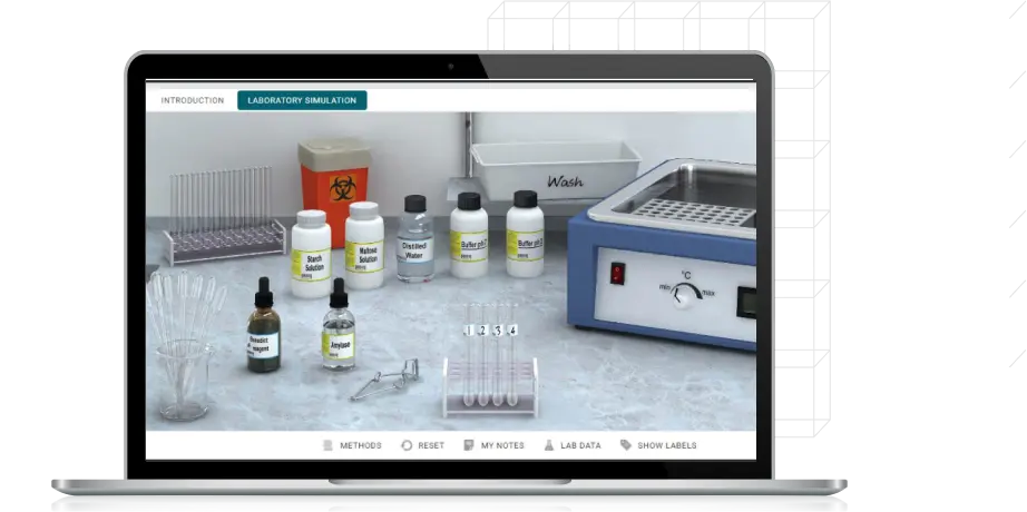 Virtual Labs lab interface Virtual Labs lab interface