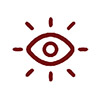 Critical Insights Icon